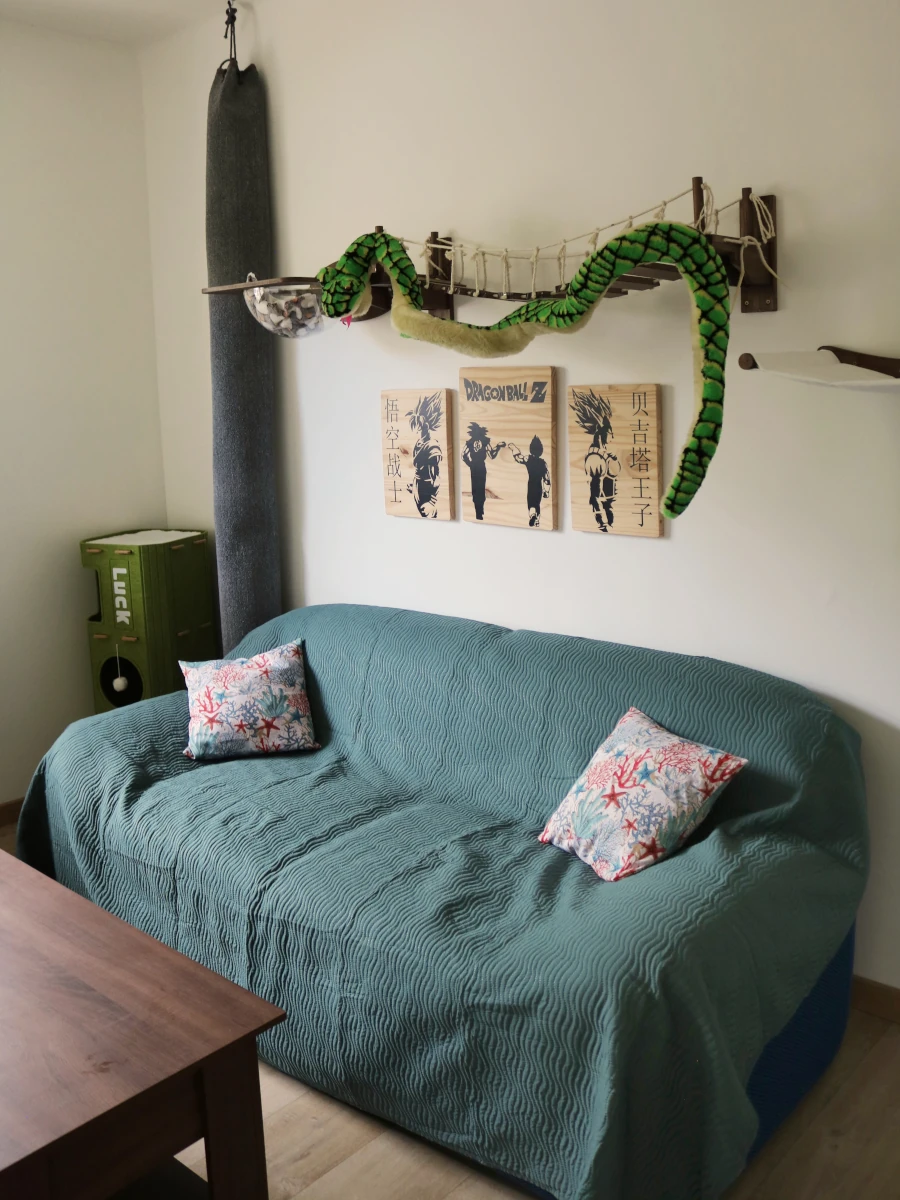 Chambre Jungle Geek : chat descendant l'escalier mural en cubes — pension chat et lapin à Nîmes